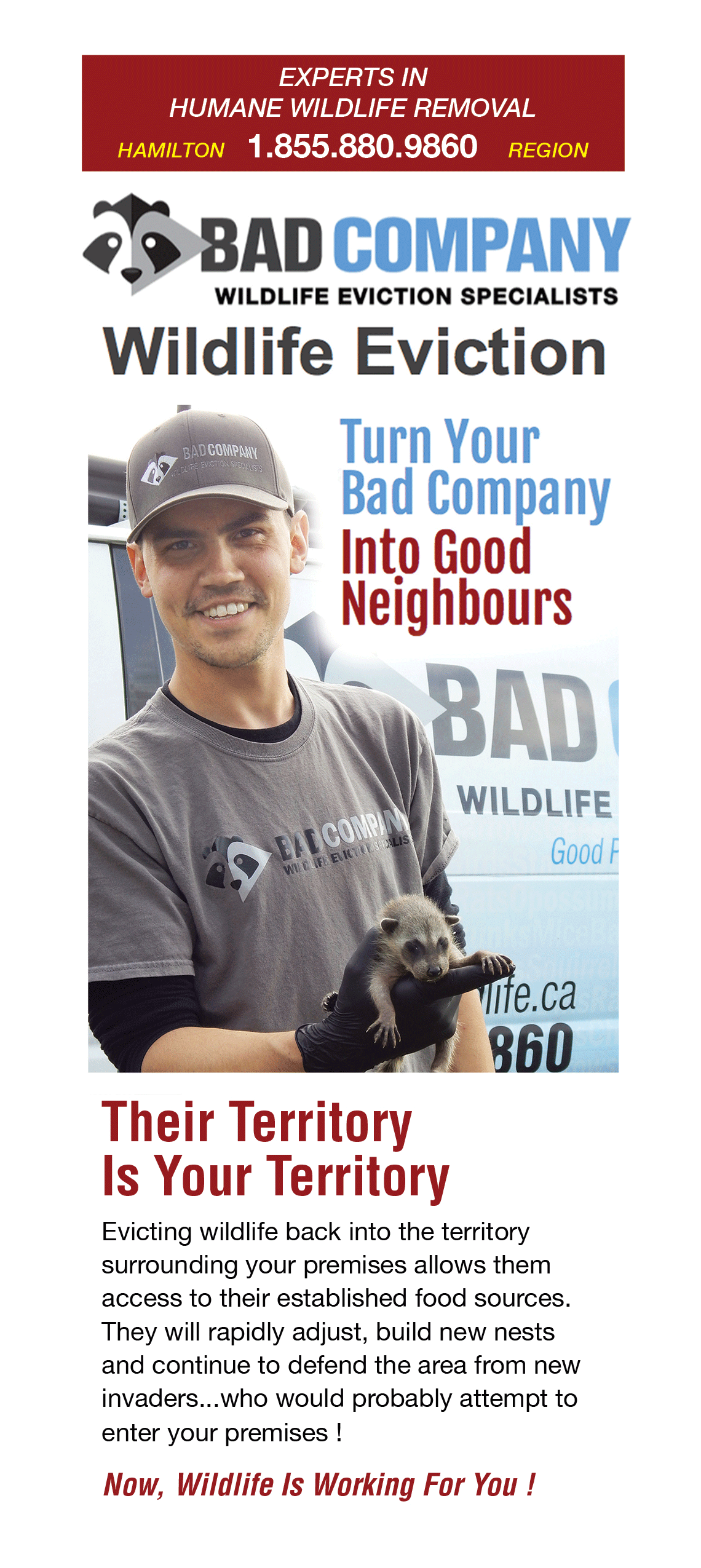 Bad Company Brochure Cover