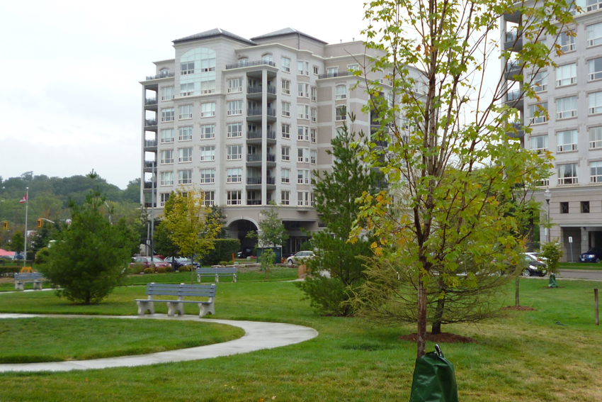 Creekside Parkette Trees